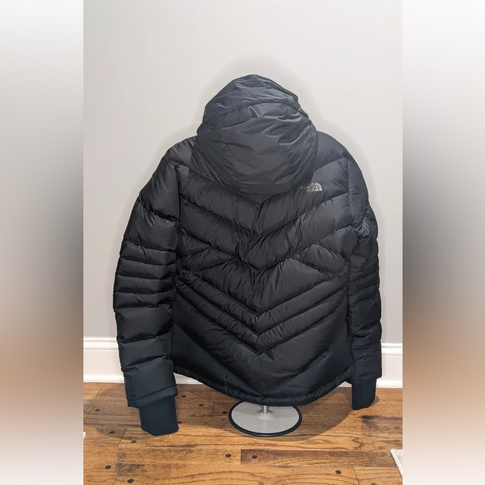 North Face Winter Jacket